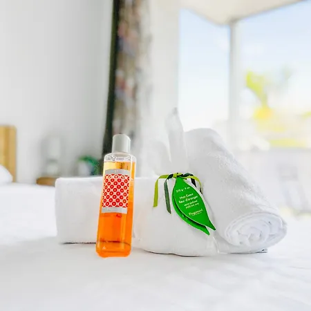 Le Eden - Cozy Appartement Cannes